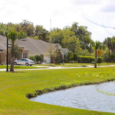 The Harrison Ranch