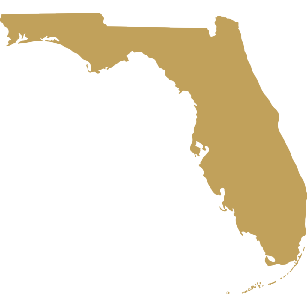 Florida icon